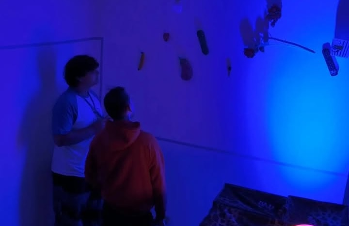 Expozitie despre sexualitate